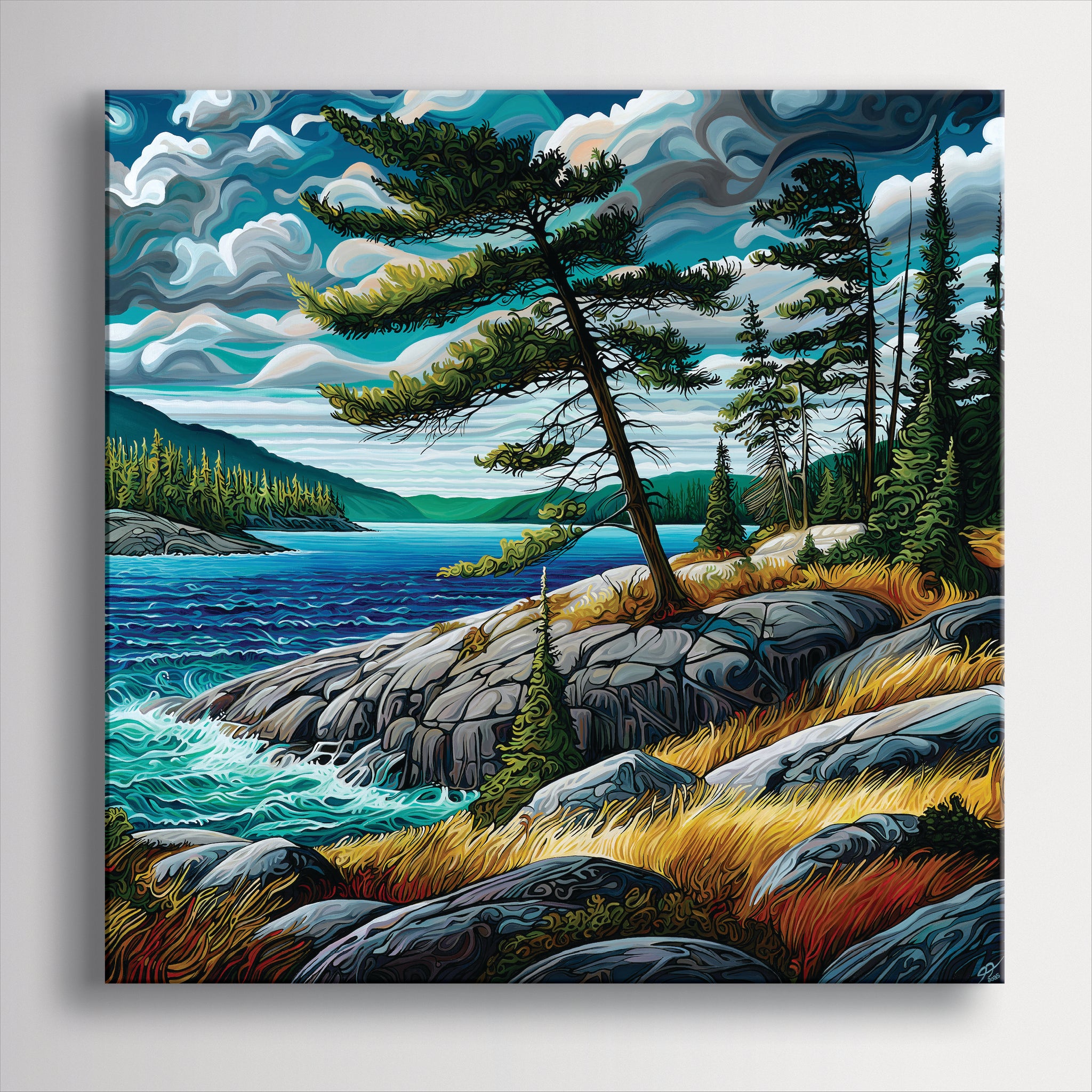 #294 – The Jack Pine