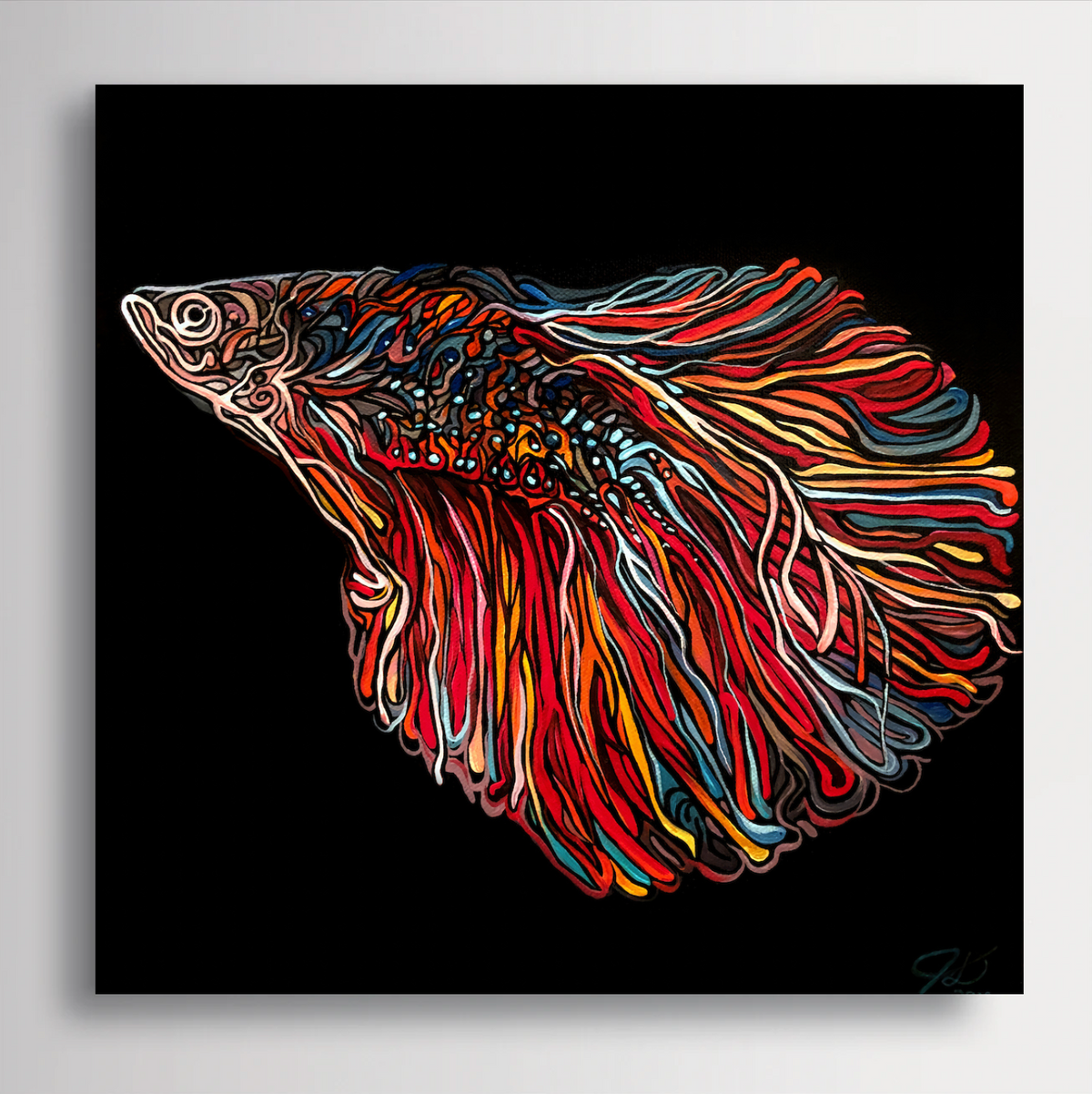 A square black canvas wall art print Jeff Dillon FIne Art featuring a stylized, colorful betta fish illustration with flowing red, orange, yellow, blue, and white lines on a black background.