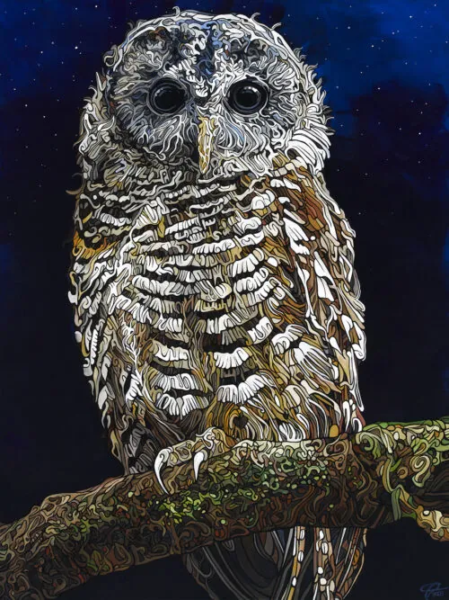 259 The Night Owl